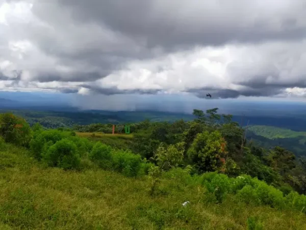 10 Must-Visit Tourist Attractions in Langkat for a Fun Vacation